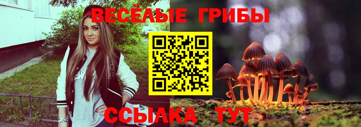 Галлюциногенные грибы мицелий  Вход с VPN  Красноперекопск 